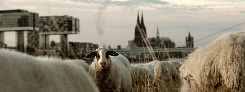 Stadt Köln